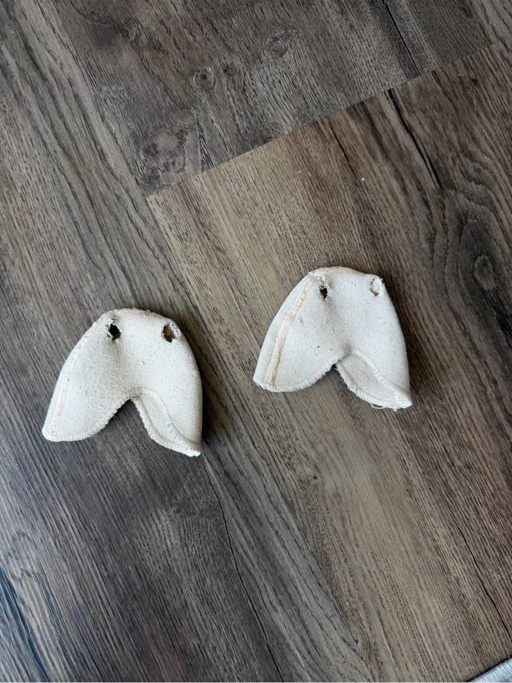 Pointe Shoe Toe Pads very old used for several years